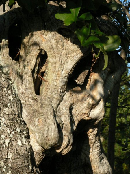 p1076.jpg