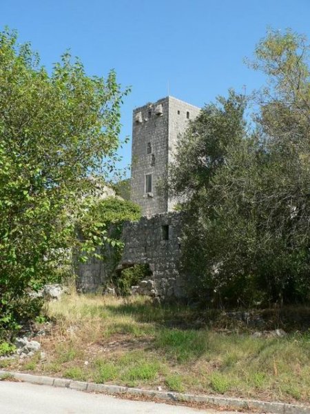 p1097h.jpg